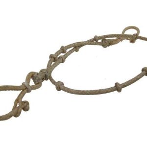 Cuenta Ganado Economico